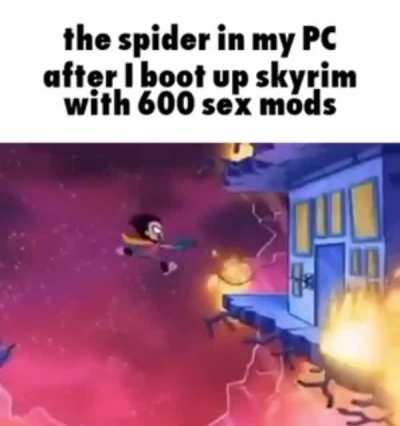 Spider