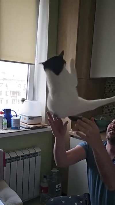 Majestic