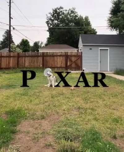 A masterpiece