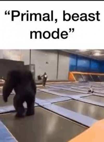 Primal, maximize