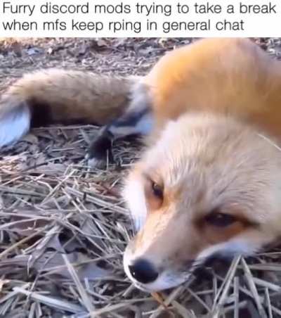 discord_irl