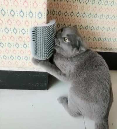 That&rsquo;s the spot!
