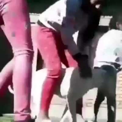 ayuden a este pobre pendejo a llegar a los 1000 de karma
