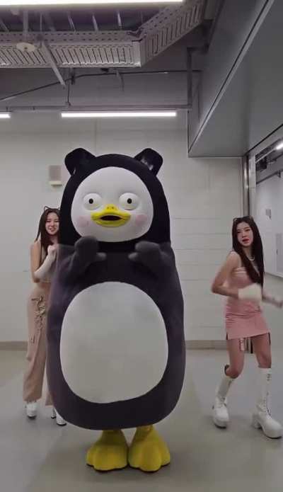 [230429] Yujin, Dayeon &amp;amp; Pengsoo TikTok update [LOVESTRUCK!]