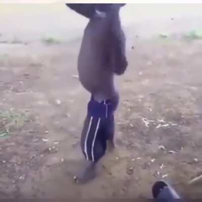SquarePosting - Video #2864