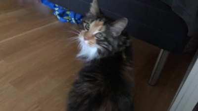 Her best &ldquo;I&rsquo;m not doing anything I&rsquo;m not supposed to&rdquo; squeak
