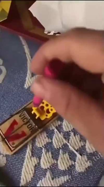 At least the crayon wasn&rsquo;t hurt!