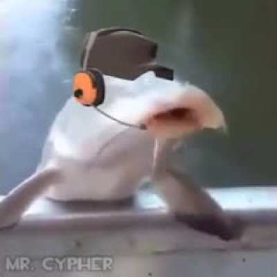 Scout couldnt finish his bonk (from r/tf2)