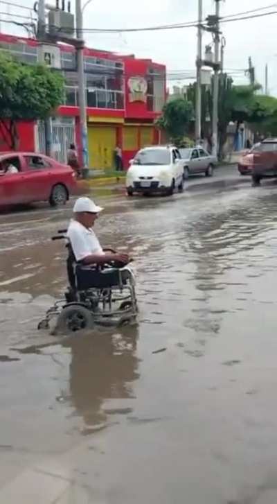 Terreneitor