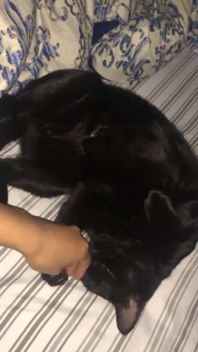 lazer eyes