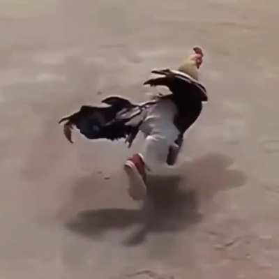 Chiken with da J&rsquo;s🤪🤪😹😹😤😤🧐🧐🤨🤨