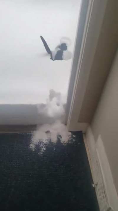I better stay inside today