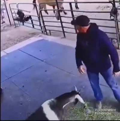 Maybe maybe maybe