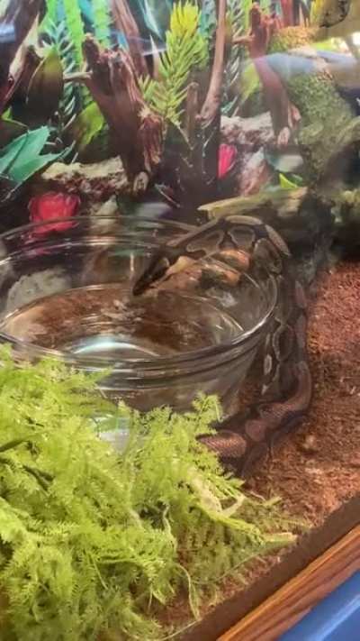 Somebody is a thirsty girl...meet my son’s 5-year old pal, Tabitha.