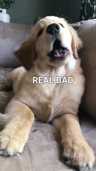 STAP THA BOOOOP!!!!!!