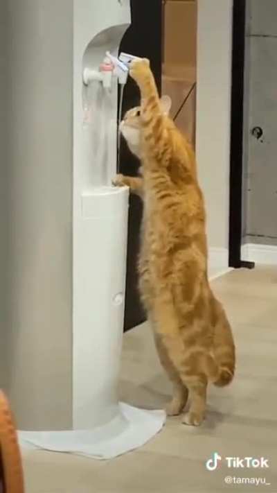 Hydrofluff knows. Are you not thirsty yet ?
