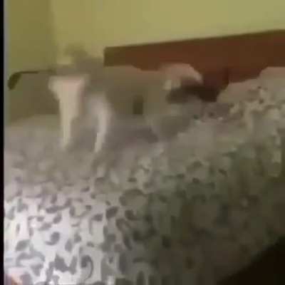 tuki