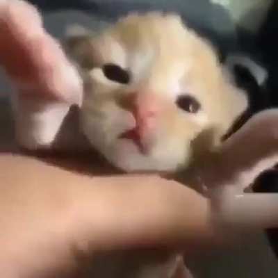 fren :)