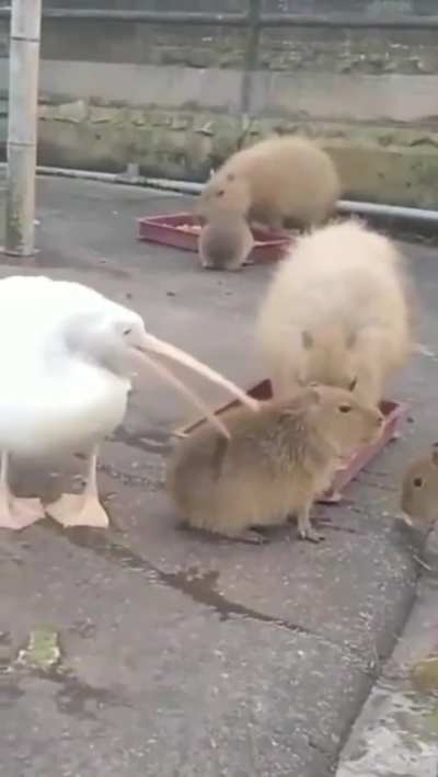 hmmm