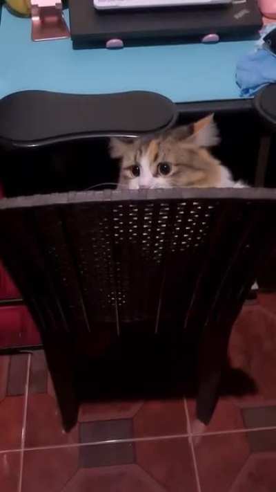 BeAsT cLawS hUmAn tO dEatH