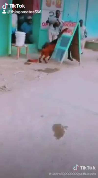 Quem rir j&aacute; sabe