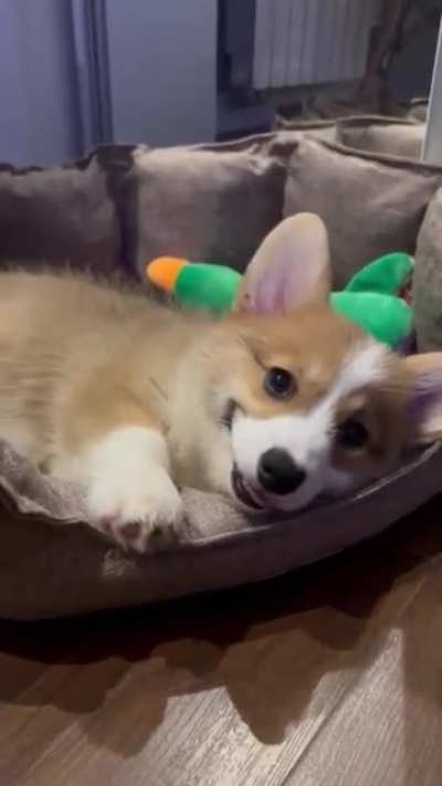 So adorable