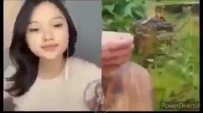 UwU