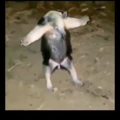 Hadi iyi geceler, bugünlük benden bu kadar.