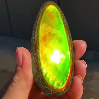 Color morphing Ammolite❤️Have you ever seen something so magical?