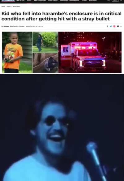 Harambe
