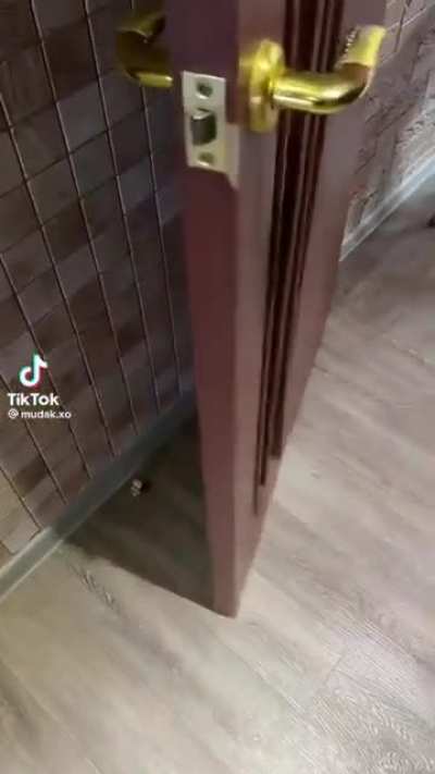 Blursed_Shit_myself