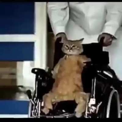 NOOO