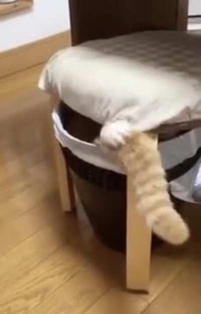 Sneak 101: Pull in Your Tail