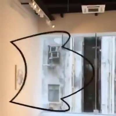 The point of view really matters for this Square / Circle