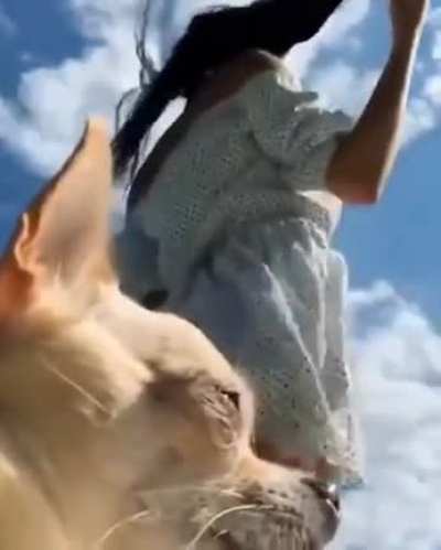 The protector