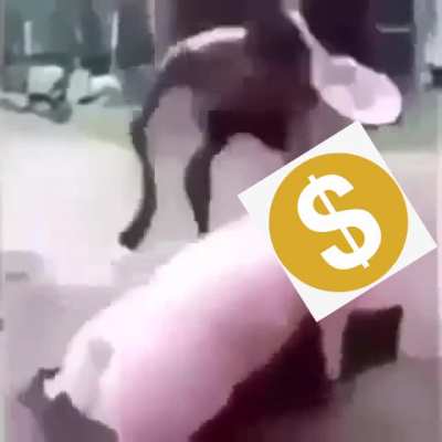 Ouch (Censored)