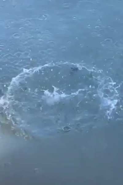 I release you