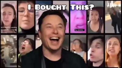 The meltdown after Elon bought Twitter