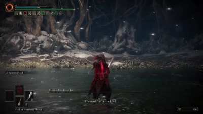 I just pulled off one of the most Epically Calculated final blows against Malenia!