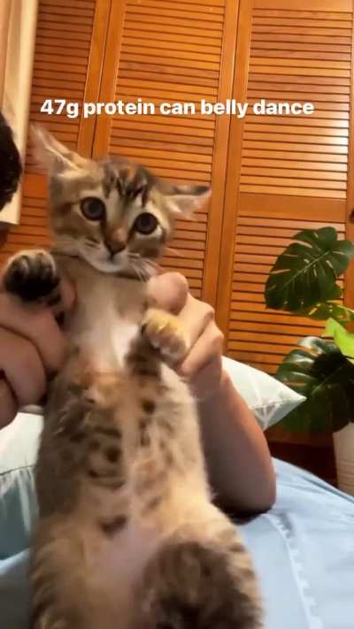 Dancing wunk 