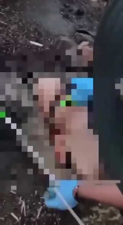 Russian castrating Ukrainian POW [censored]