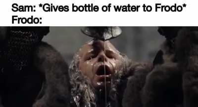 Fool of a Baggins