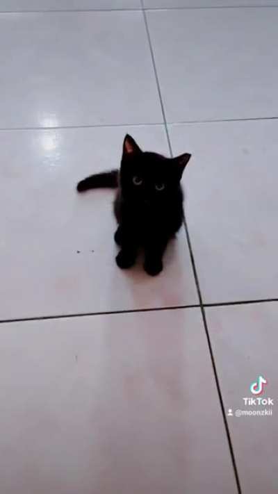 Just a clip before they take a bath.