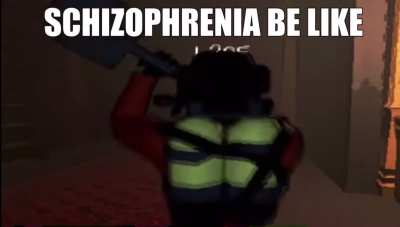 Schizophrenia in a nutshell  