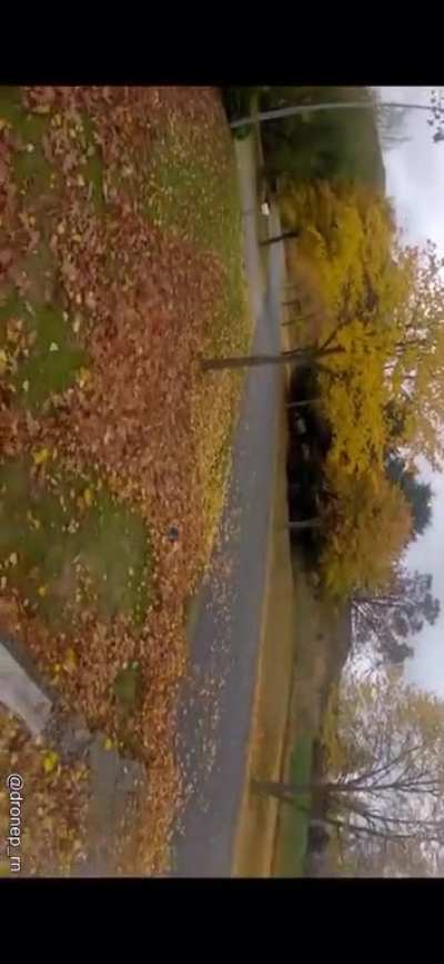 A commercial drone makes a really good scream.