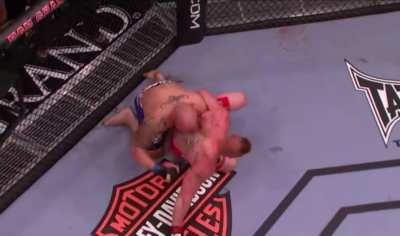 285lbs Shane Carwin vs 286lbs Brock Lesnar