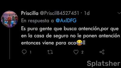 no le s&eacute; al chitpo