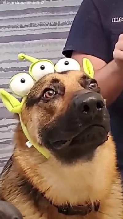 What have you done to me?!