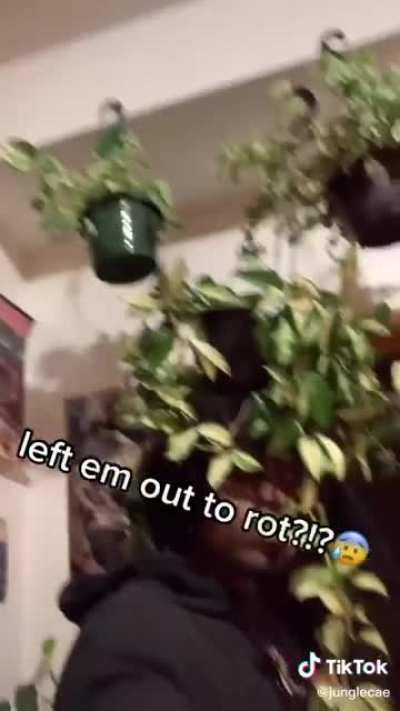 I love plant Tiktok