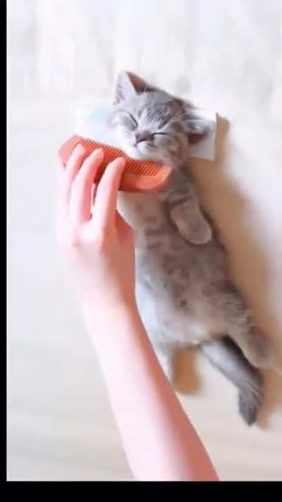 Spa day.